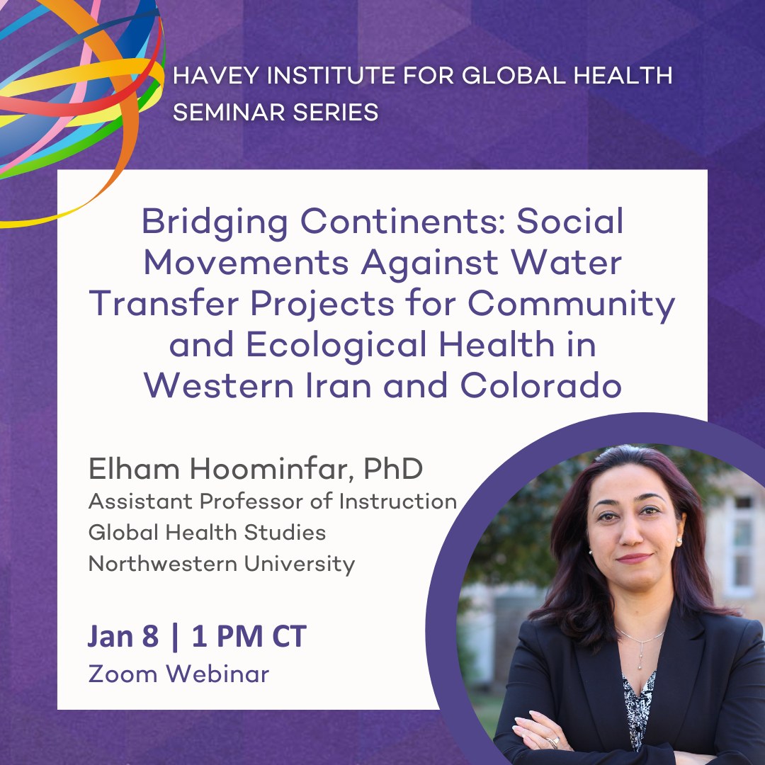 Elham Hoominfar lecture flyer
